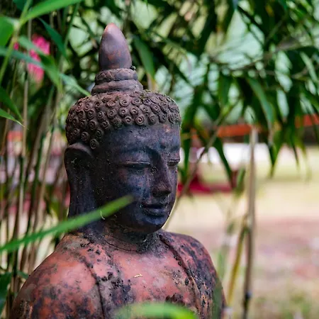 Namaste Villa *